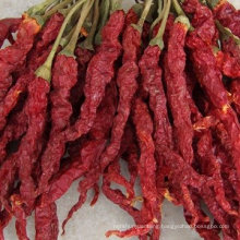 Dried chilli